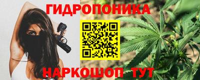 стаф Гусев