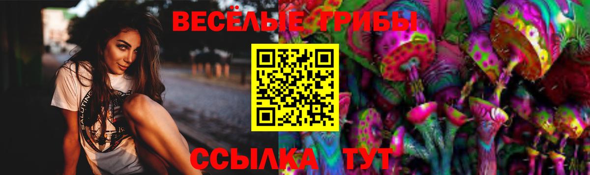 Луховицы  Галлюциногенные грибы Psilocybe  Вход с VPN  Галлюциногенные грибы Psilocybine cubensis 
